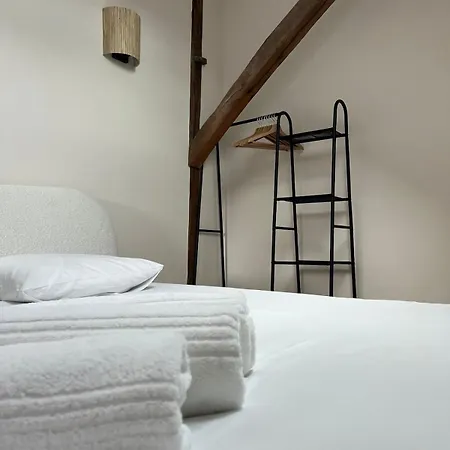 Serment By Collection Aura - 4p - Hypercentre A Deux Pas De La Place Ducale Apartment *