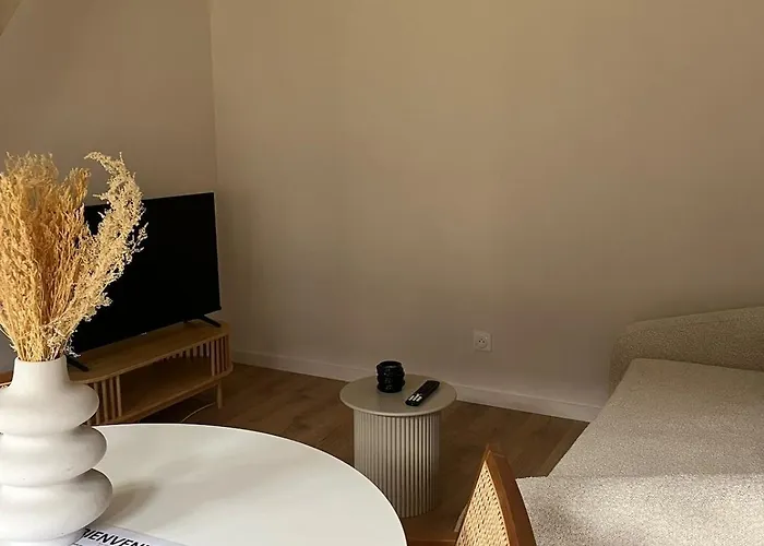 Serment By Collection Aura - 4p - Hypercentre A Deux Pas De La Place Ducale *